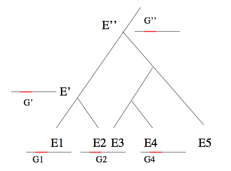 Arbre d'espèces, gènes homologues et similarité de séquences.