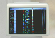 bioinfo