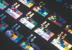 Nano-structures sur substrats de silicium